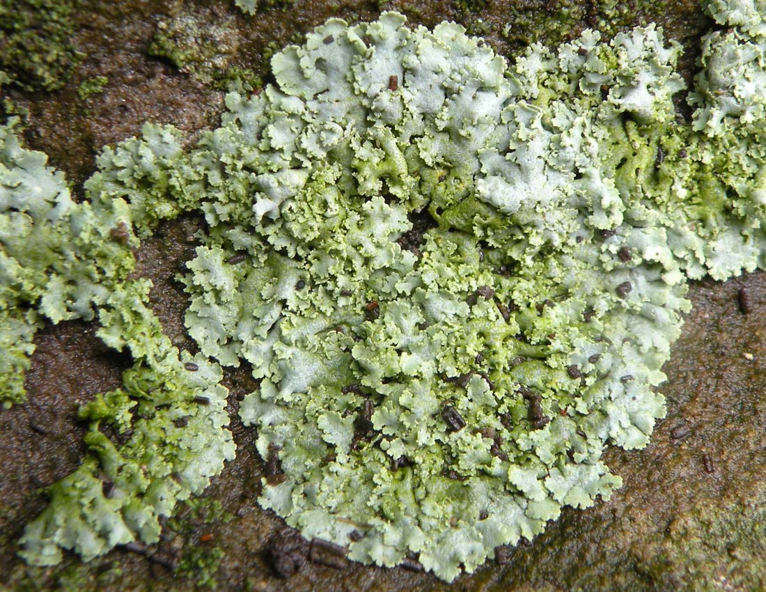 Visitando una abbazia gotica...